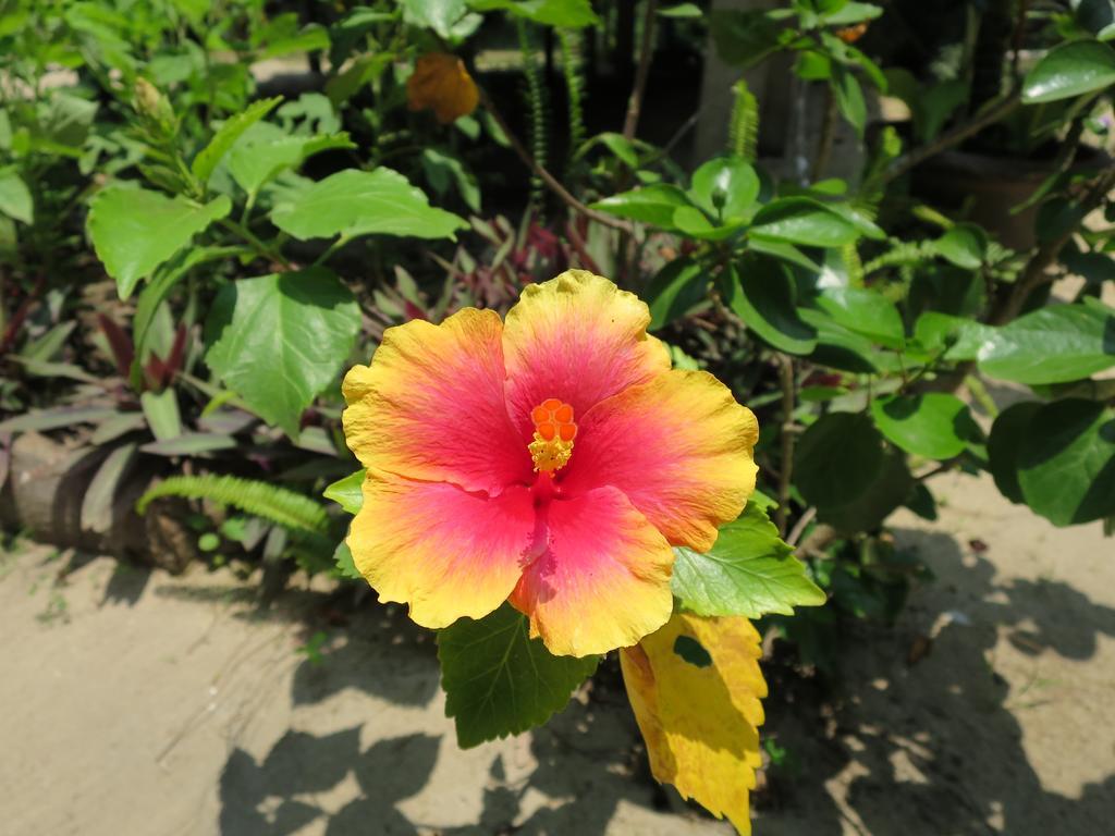 Bangbaobeach Resort Koh Chang Luaran gambar